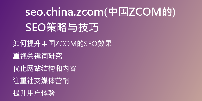 seo.china.zcom(中国ZCOM的SEO策略与技巧)