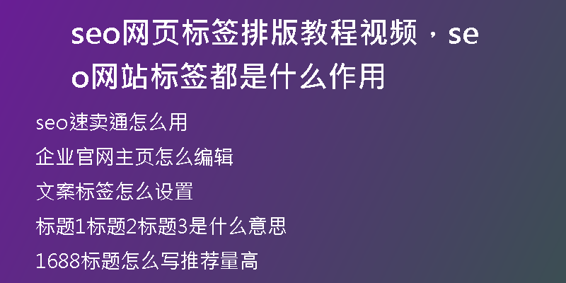 seo网页标签排版教程视频，seo网站标签都是什么作用