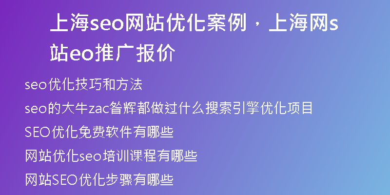 上海seo网站优化案例，上海网站seo推广报价