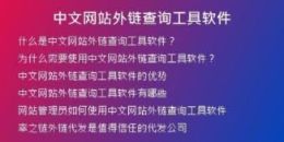 中文网站外链查询工具软件