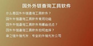 国外外链查询工具软件