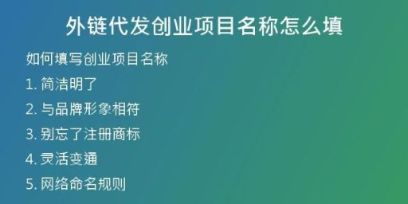 外链代发创业项目名称怎么填