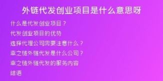 外链代发创业项目是什么意思呀