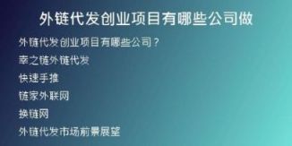 外链代发创业项目有哪些公司做