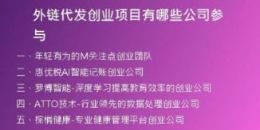 外链代发创业项目有哪些公司参与