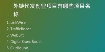 外链代发创业项目有哪些项目名称