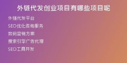 外链代发创业项目有哪些项目呢