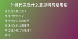 外链代发是什么意思啊网络用语