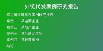外链代发案例研究报告