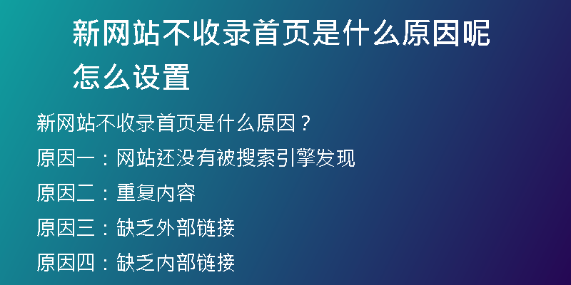 新网站不收录首页是什么原因呢怎么设置