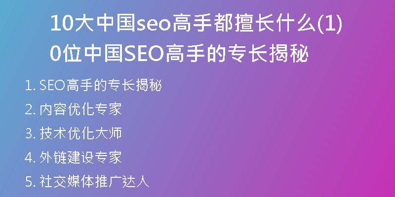 10大中国seo高手都擅长什么(10位中国SEO高手的专长揭秘)