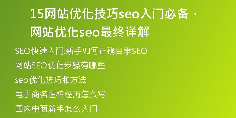 15网站优化技巧seo入门必备，网站优化seo最终详解