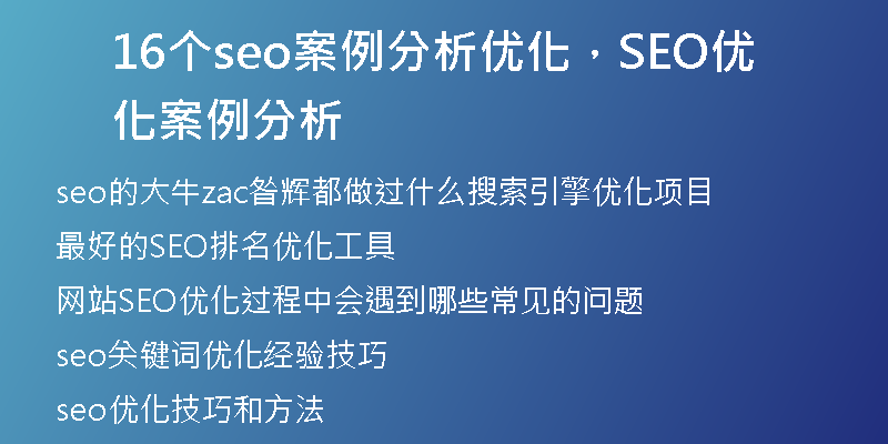 16个seo案例分析优化，SEO优化案例分析