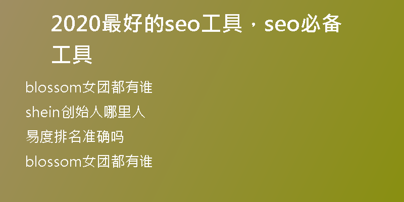 2020最好的seo工具，seo必备工具