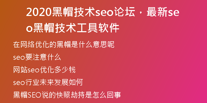 2020黑帽技术seo论坛，最新seo黑帽技术工具软件