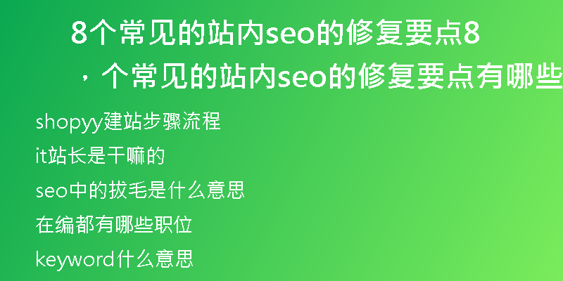 8个常见的站内seo的修复要点,8个常见的站内seo的修复要点有哪些