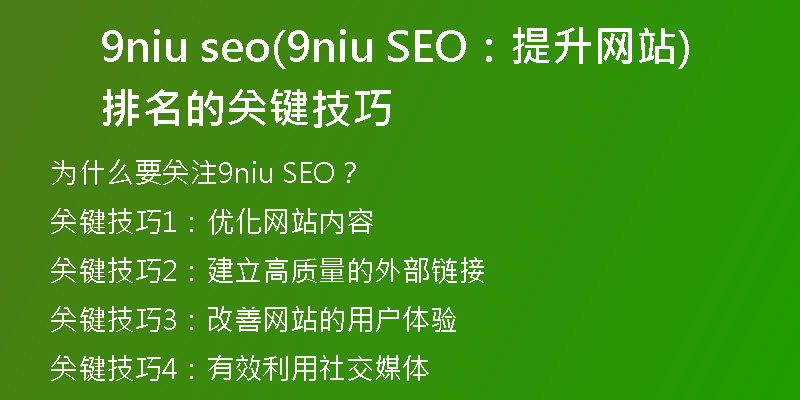 9niu seo(9niu SEO：提升网站排名的关键技巧)