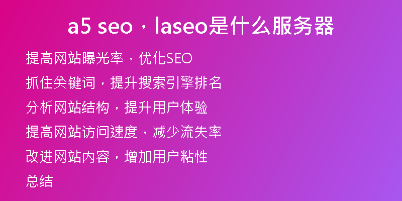 a5 seo，laseo是什么服务器