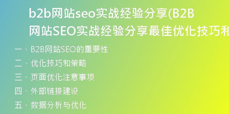 b2b网站seo实战经验分享(B2B网站SEO实战经验分享 最佳优化技巧和策略)