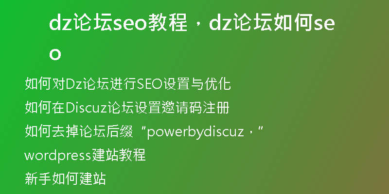 dz论坛seo教程，dz论坛如何seo