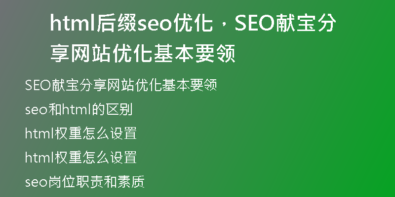 html后缀seo优化，SEO献宝分享网站优化基本要领