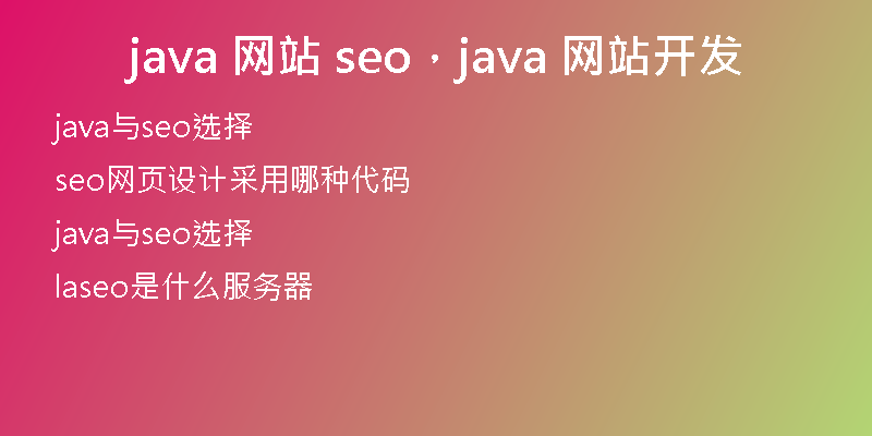 java 网站 seo，java 网站开发
