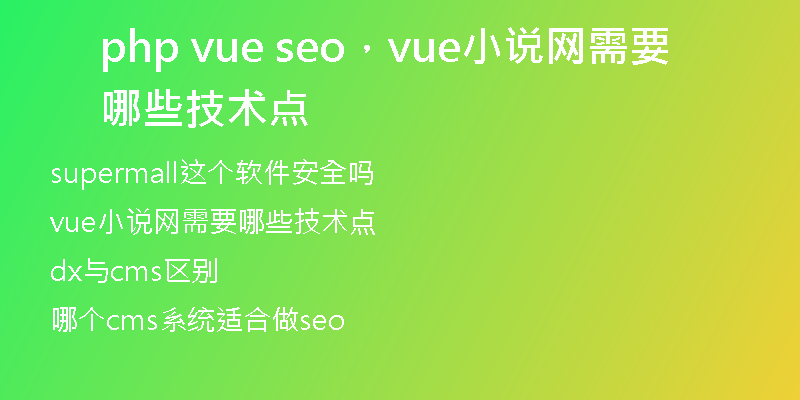 php vue seo，vue小说网需要哪些技术点