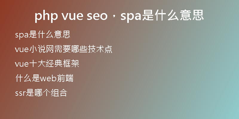 php vue seo，spa是什么意思