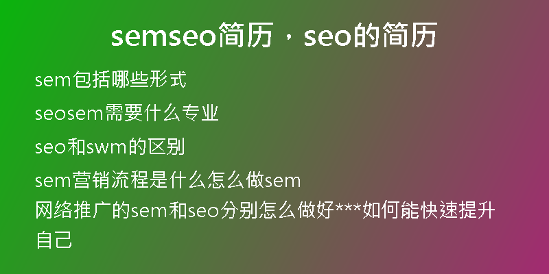 semseo简历，seo的简历