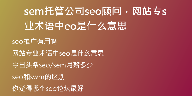 sem托管公司seo顾问,网站专业术语中seo是什么意思