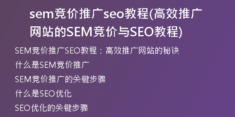 sem竞价推广seo教程(高效推广网站的SEM竞价与SEO教程)