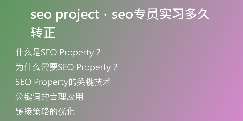 seo project，seo专员实习多久转正