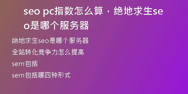 seo pc指数怎么算，绝地求生seo是哪个服务器