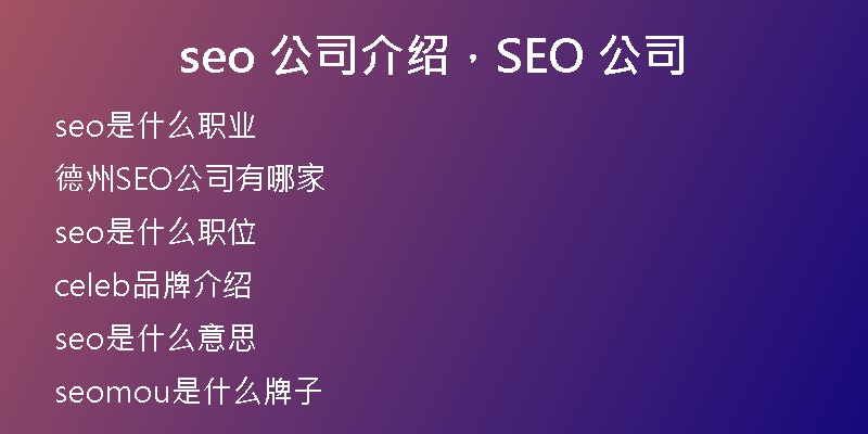 seo 公司介绍，SEO 公司