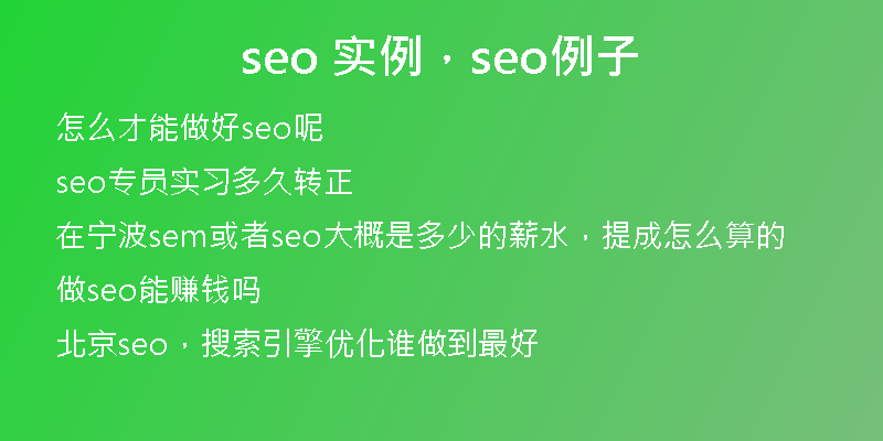 seo 实例，seo例子