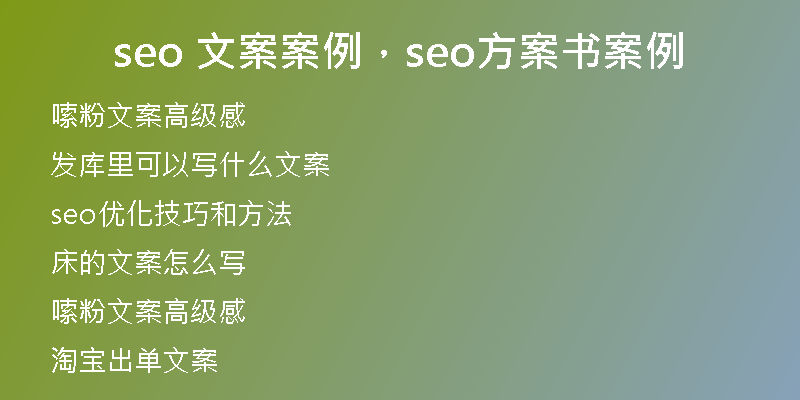 seo 文案案例，seo方案书案例