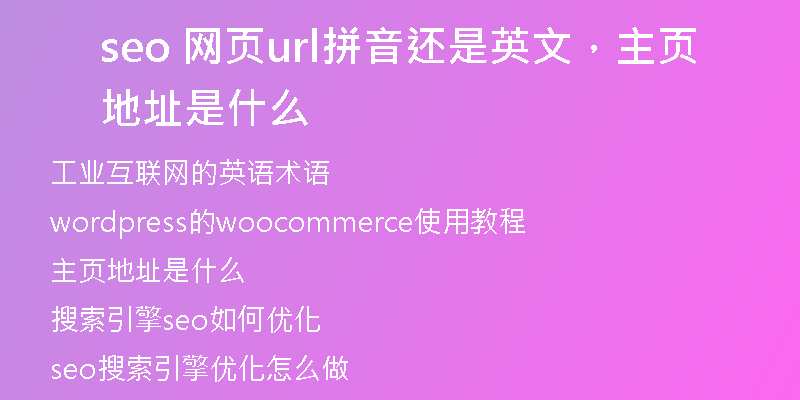 seo 网页url拼音还是英文,主页地址是什么