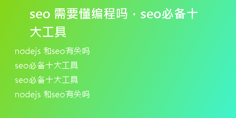 seo 需要懂编程吗，seo必备十大工具