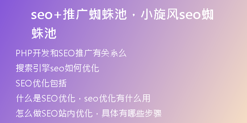 seo+推广蜘蛛池，小旋风seo蜘蛛池