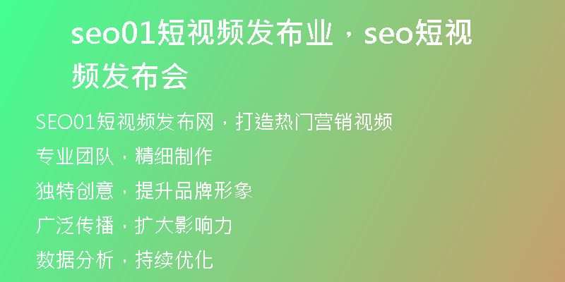 seo01短视频发布业，seo短视频发布会
