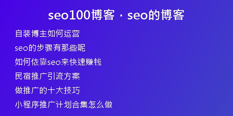 seo100博客，seo的博客