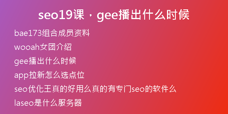 seo19课，gee播出什么时候