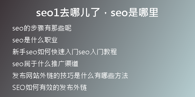seo1去哪儿了，seo是哪里