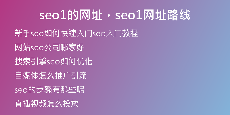 seo1的网址，seo1网址路线