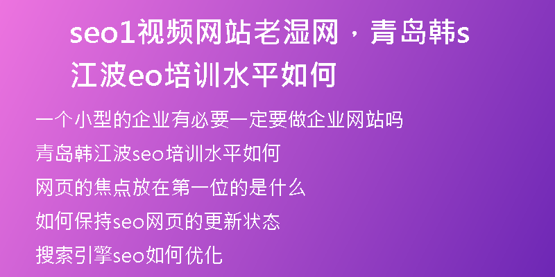 seo1视频网站老湿网，青岛韩江波seo培训水平如何