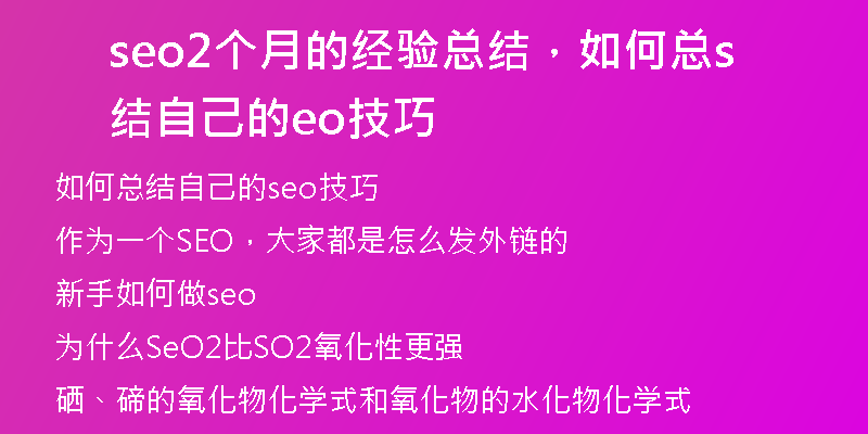 seo2个月的经验总结,如何总结自己的seo技巧