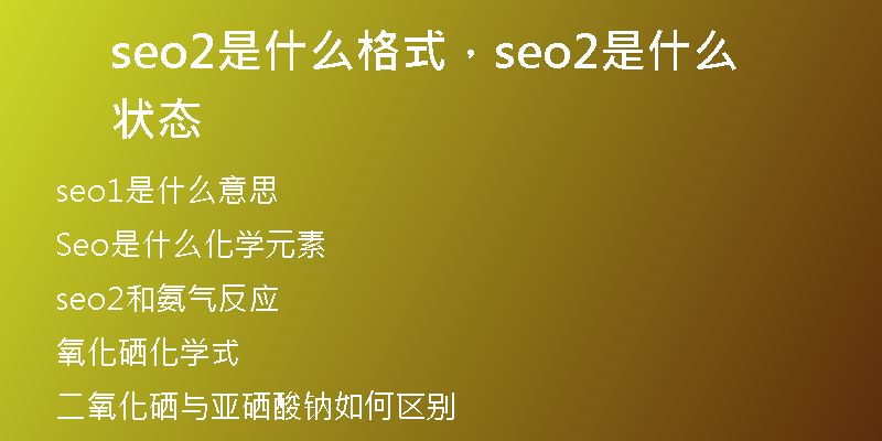 seo2是什么格式，seo2是什么状态