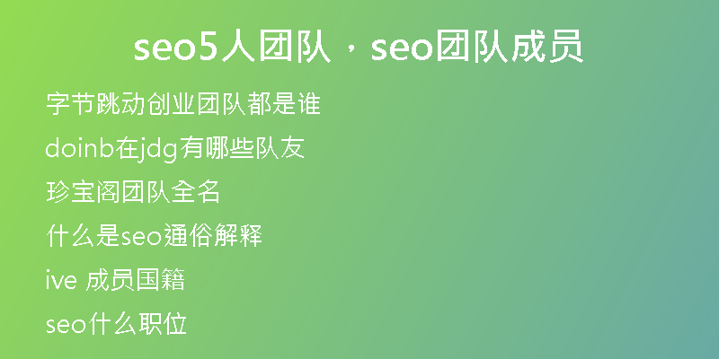 seo5人团队，seo团队成员