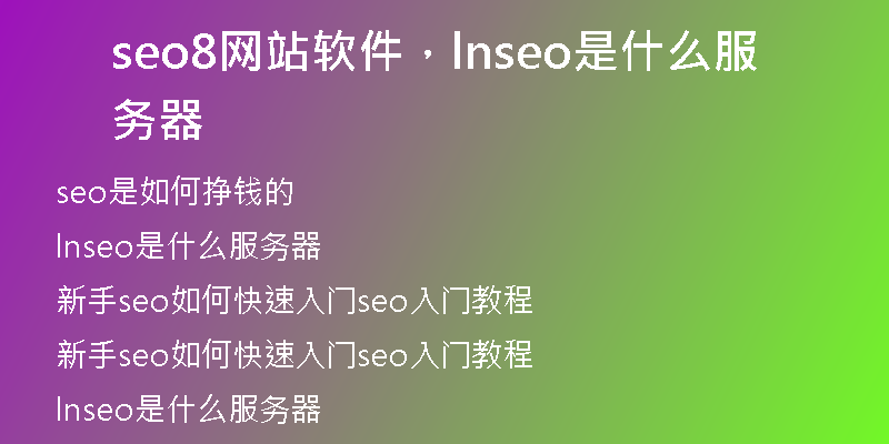 seo8网站软件，lnseo是什么服务器