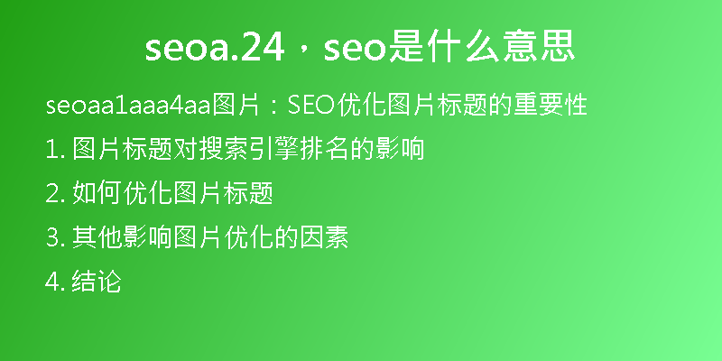 seoa.24，seo是什么意思
